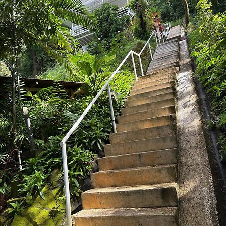 Funky Monkey Lodge Playa Santa Teresa  エクステリア 写真