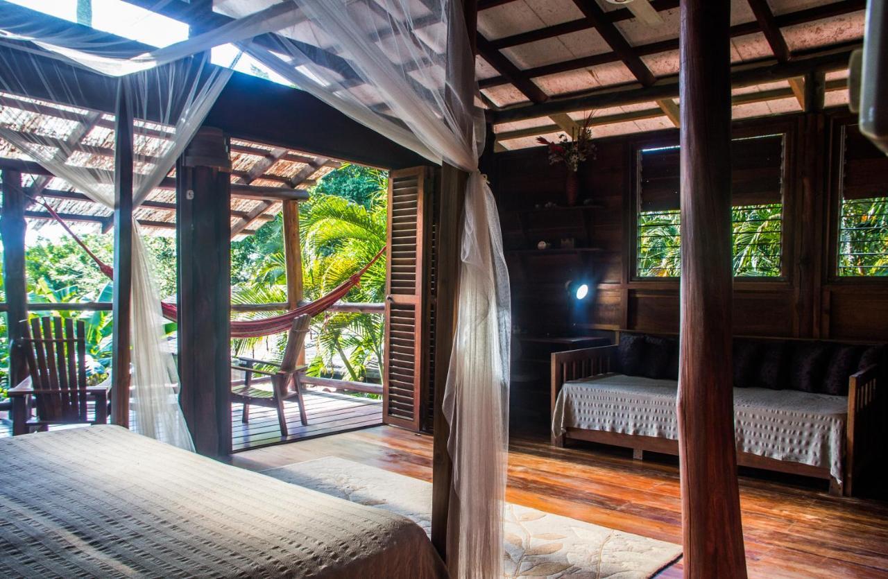 Funky Monkey Lodge Playa Santa Teresa  エクステリア 写真