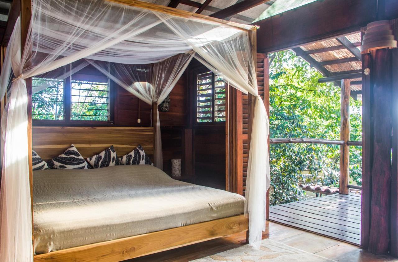 Funky Monkey Lodge Playa Santa Teresa  エクステリア 写真
