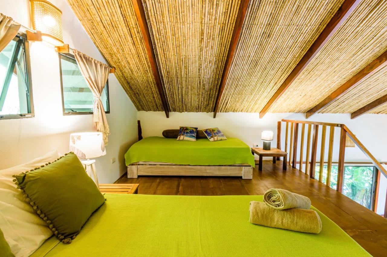 Funky Monkey Lodge Playa Santa Teresa  エクステリア 写真