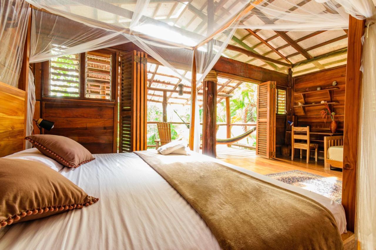 Funky Monkey Lodge Playa Santa Teresa  エクステリア 写真
