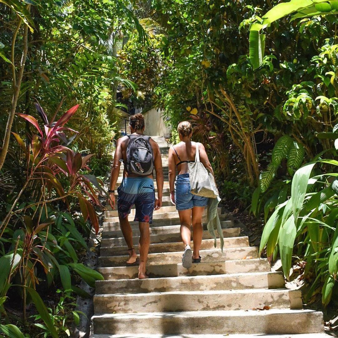 Funky Monkey Lodge Playa Santa Teresa  エクステリア 写真