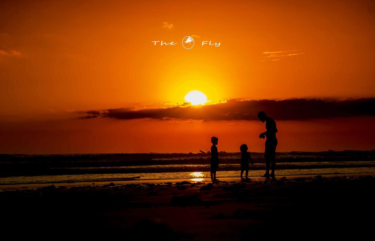 Funky Monkey Lodge Playa Santa Teresa  エクステリア 写真