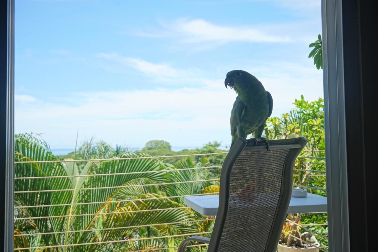Funky Monkey Lodge Playa Santa Teresa  エクステリア 写真