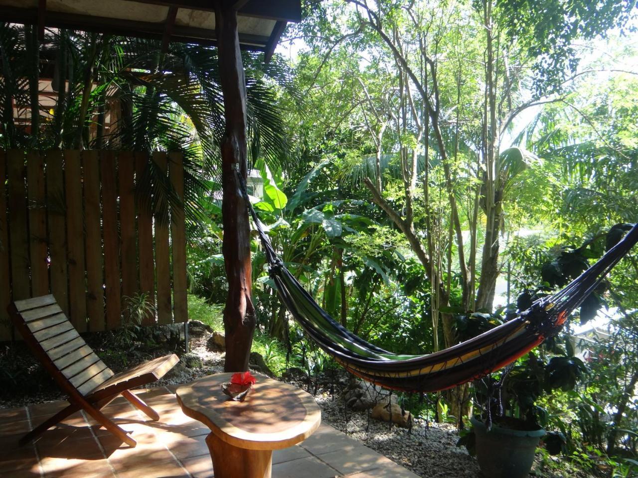 Funky Monkey Lodge Playa Santa Teresa  エクステリア 写真