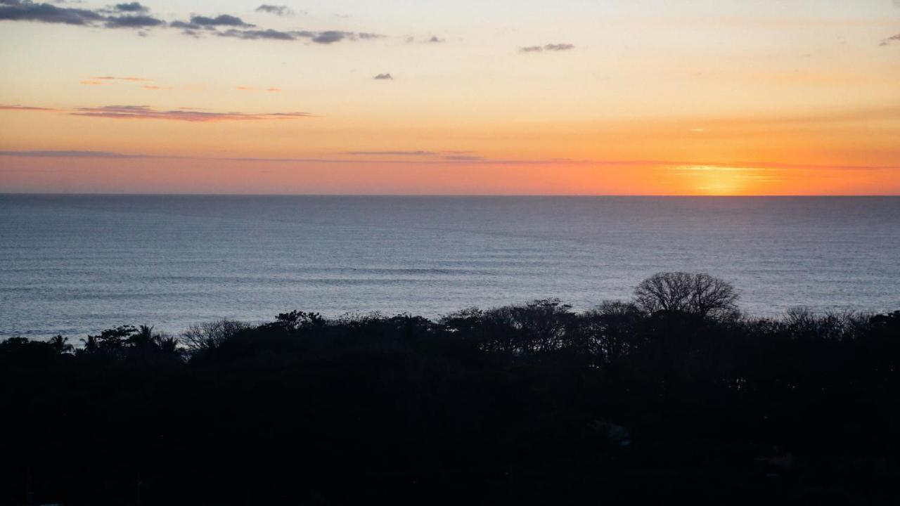 Funky Monkey Lodge Playa Santa Teresa  エクステリア 写真